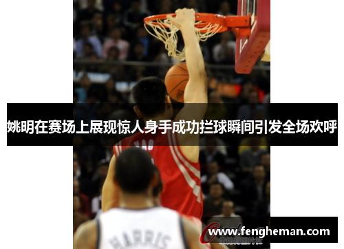 姚明在赛场上展现惊人身手成功拦球瞬间引发全场欢呼